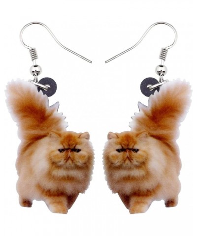 Acrylic Drop Dangle Sitting Cat Earrings Fashion Novelty Jewelry For Girl Women Charms Coffee $6.11 Earrings