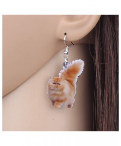 Acrylic Drop Dangle Sitting Cat Earrings Fashion Novelty Jewelry For Girl Women Charms Coffee $6.11 Earrings