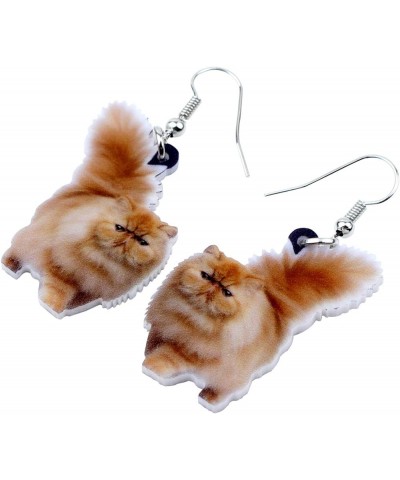 Acrylic Drop Dangle Sitting Cat Earrings Fashion Novelty Jewelry For Girl Women Charms Coffee $6.11 Earrings