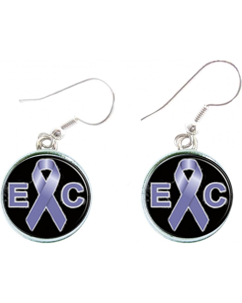 Esophageal Cancer Awareness Blue Ribbon Silver Hook Earrings Jewelry Gift $11.76 Earrings