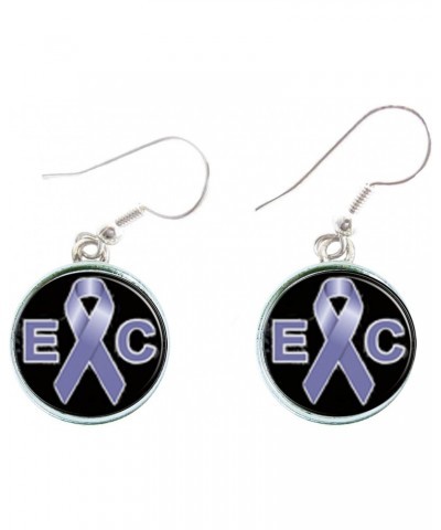 Esophageal Cancer Awareness Blue Ribbon Silver Hook Earrings Jewelry Gift $11.76 Earrings