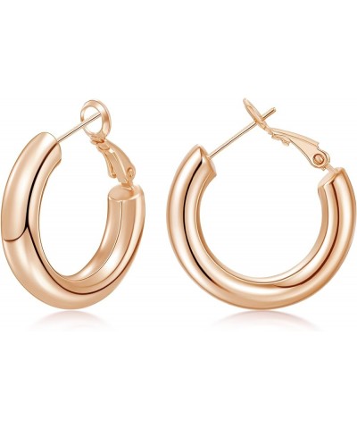 Chunky Gold Hoop Earrings for Women with 925 Sterling Silver Post, 14K Gold Plated Small Thick Gold Hoops Earrings for Women ...