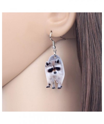 Acrylic Northern Raccoon Earrings Dangle Drop Lovely Jewelry For Women Girls Ladies Gifts Grey $6.11 Earrings